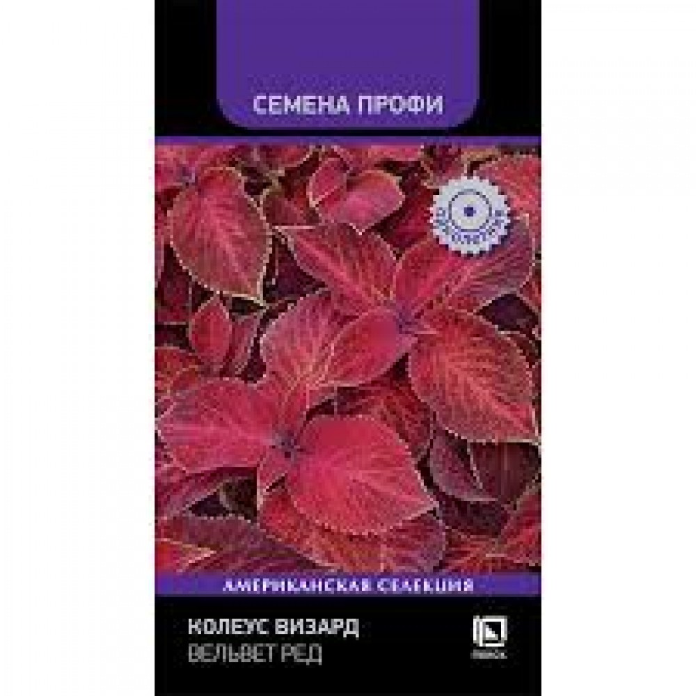 Семена Цветы Колеус Вельвет ред 10шт Поиск