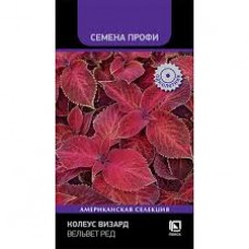 Семена Цветы Колеус Вельвет ред 10шт Поиск
