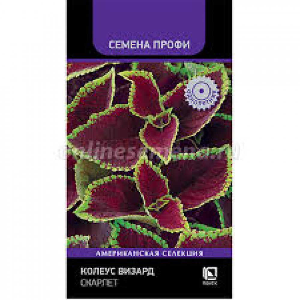 Семена Цветы Колеус Визард Скарлет 10шт Поиск