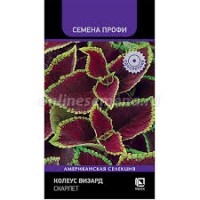 Семена Цветы Колеус Визард Скарлет 10шт Поиск