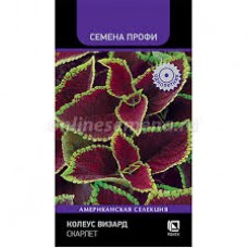 Семена Цветы Колеус Визард Скарлет 10шт Поиск