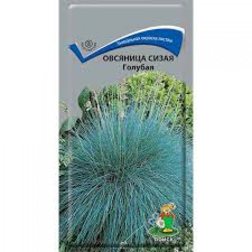 Семена Цветы Овсянница сизая Голубая 0,1г Поиск Семена Цветы Овсянница сизая Голубая 0,1г Поиск