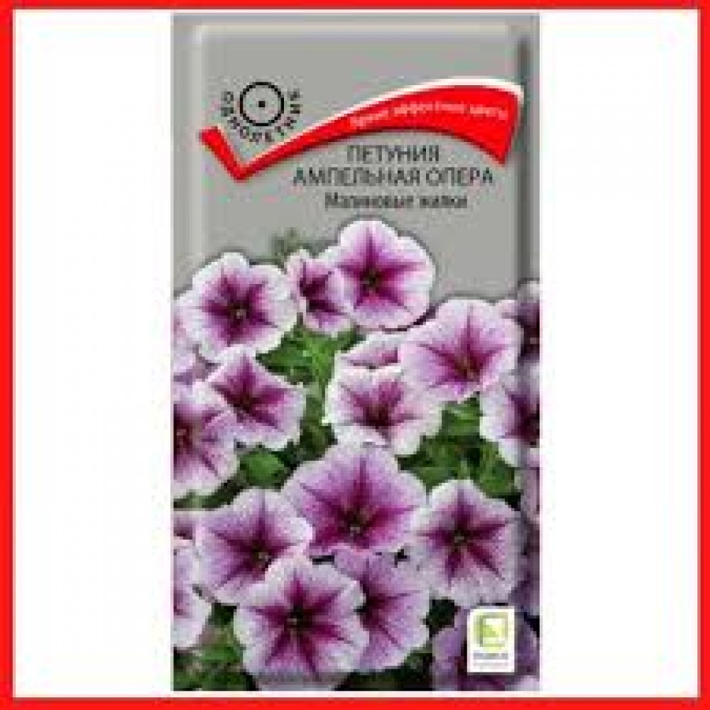 Семена Цветы Петуния Опера Малиновые жилки ампельная 5шт Поиск