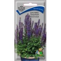 Семена Цветы Шалфей пышный фиолетовый 0,1г Поиск 