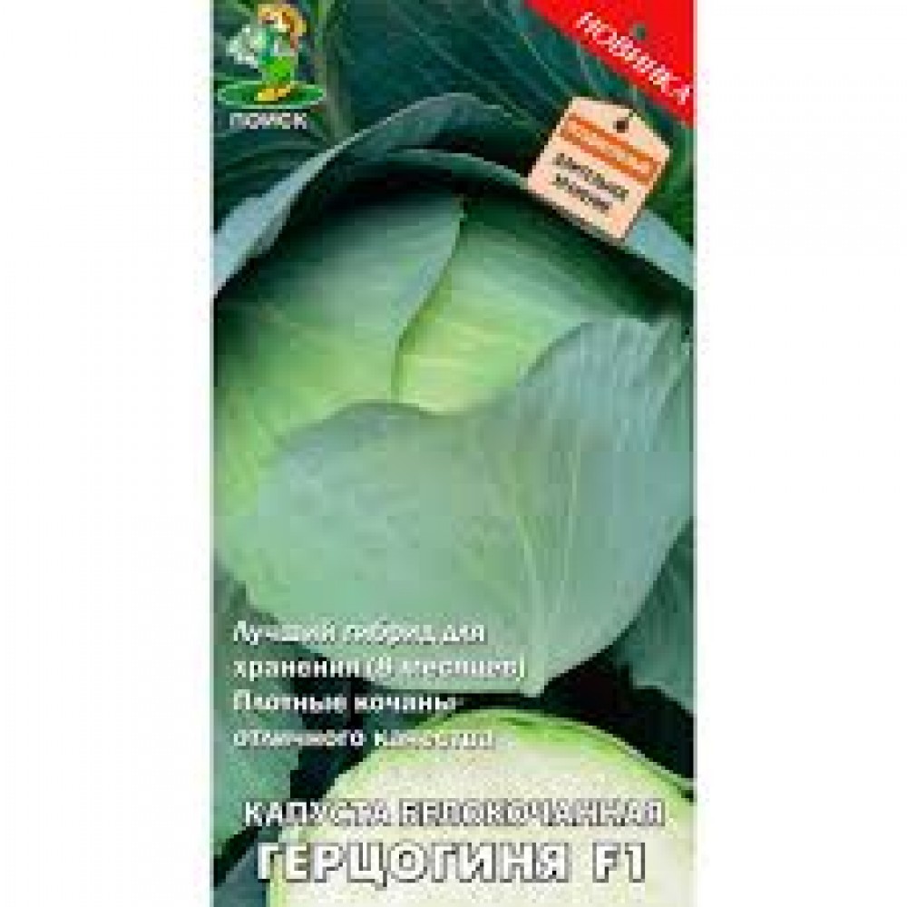 Семена Капуста белокочанная Герцогиня F1 0,2гр Поиск Семена Капуста белокочанная Герцогиня F1 0,2гр Поиск