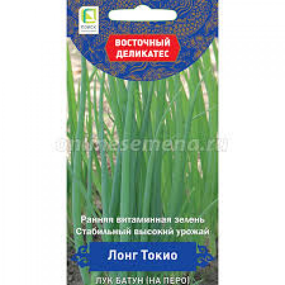Семена Лук батун (на перо) Лонг Токио 1г Восточный деликатес Поиск Семена Лук батун (на перо) Лонг Токио 1г Восточный деликатес Поиск