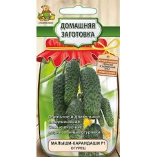 Семена Огурец Малыши-карандаши F1 12шт Домаш. заготовка Поиск