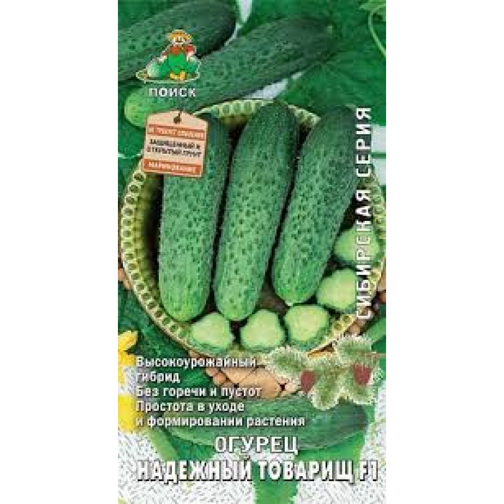 Семена Огурец Надежный товарищ  F1 12шт Сибирская серия Поиск