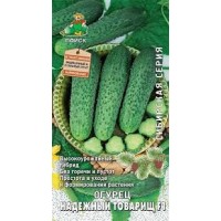 Семена Огурец Надежный товарищ  F1 12шт Сибирская серия Поиск