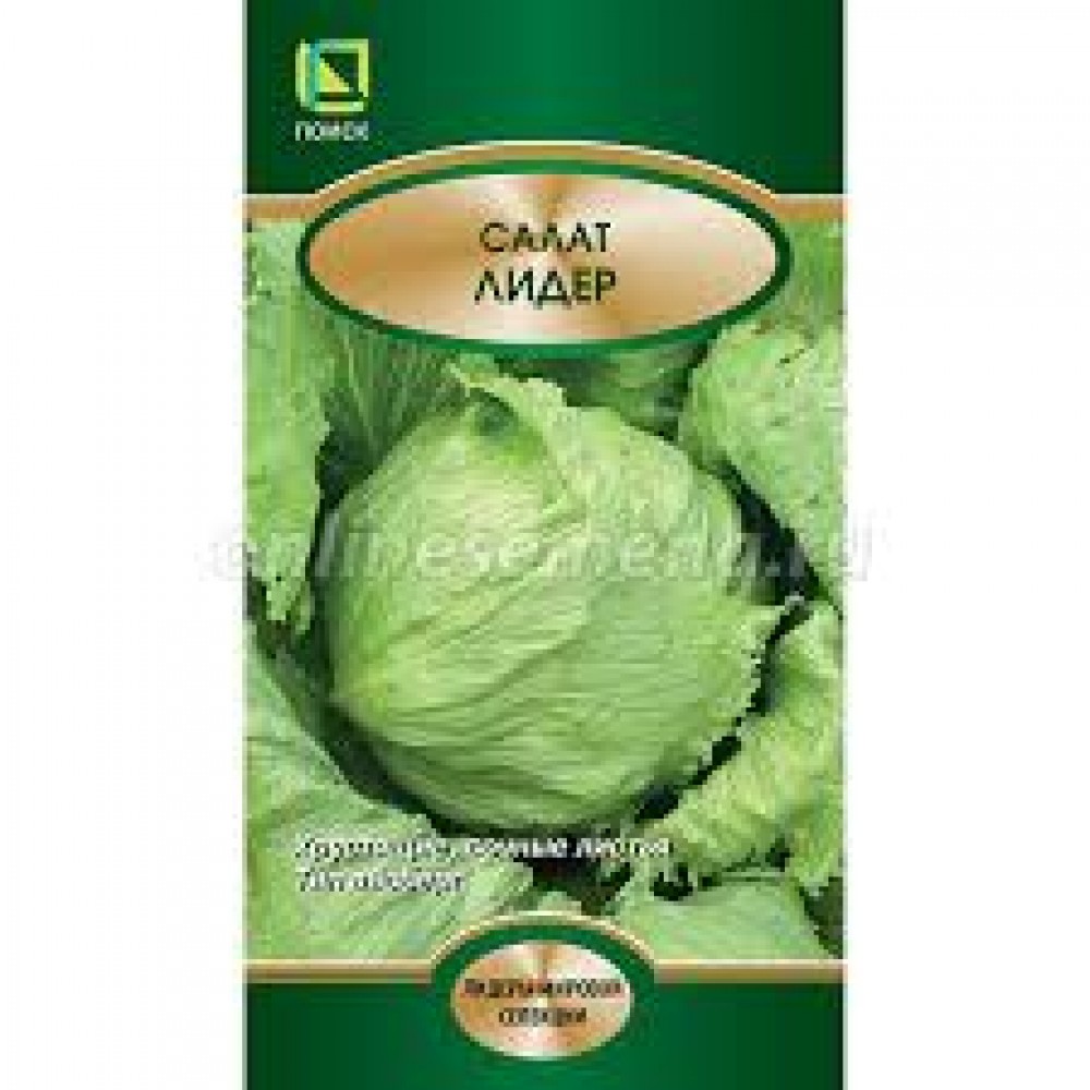 Семена Салат Лидер 0,5г Поиск