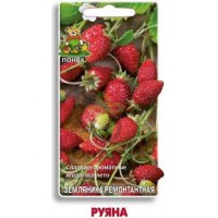 Семена Земляника Руяна ремонтант. 100шт Поиск