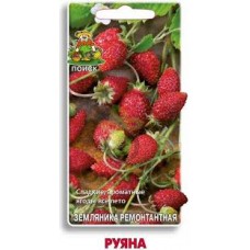 Семена Земляника Руяна ремонтант. 100шт Поиск