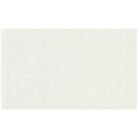 Обои виниловые на флиз.основе 1,06*10,05 ORNAMY Florance 8090-02