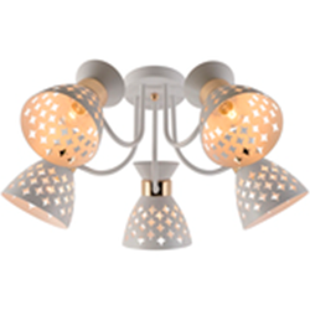 Светильник потолочный 01579-3.3-05 WH+FGD