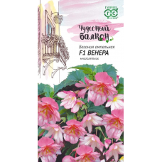 Семена Цветы Бегония Венера F1 4шт.