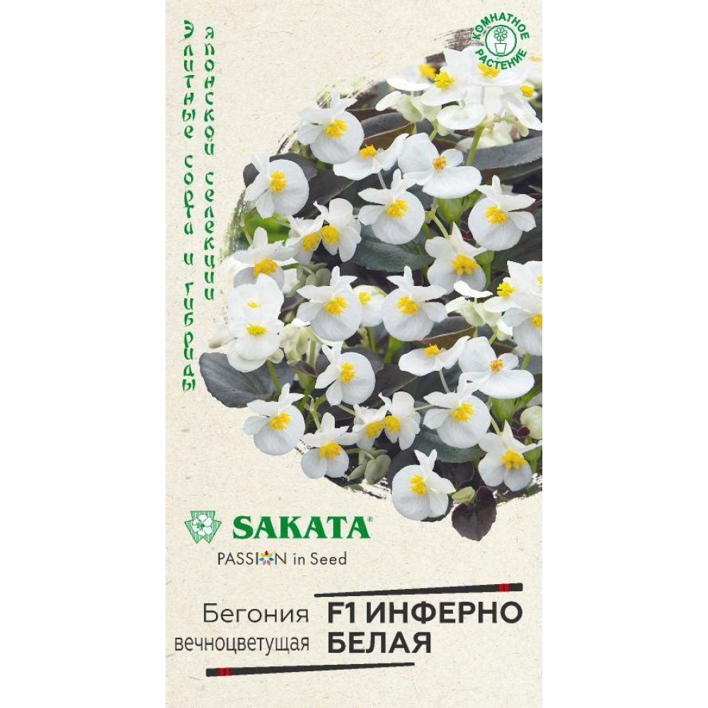 Семена Цветы Бегония Инферно белая F1 4шт. Семена Цветы Бегония Инферно белая F1 4шт.