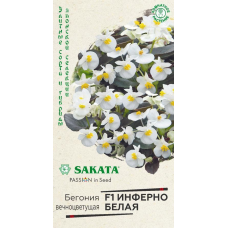 Семена Цветы Бегония Инферно белая F1 4шт.