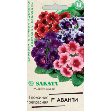 Семена Цветы Глоксиния Аванти красная с белым краем F1 5шт