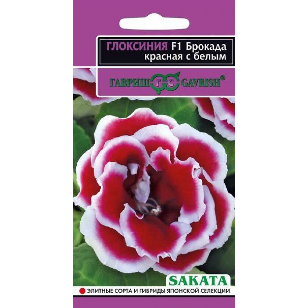 Семена Цветы Глоксиния Брокада красная с белым F1 4шт Семена Цветы Глоксиния Брокада красная с белым F1 4шт