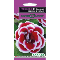 Семена Цветы Глоксиния Брокада красная с белым F1 4шт