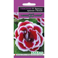 Семена Цветы Глоксиния Брокада красная с белым F1 4шт