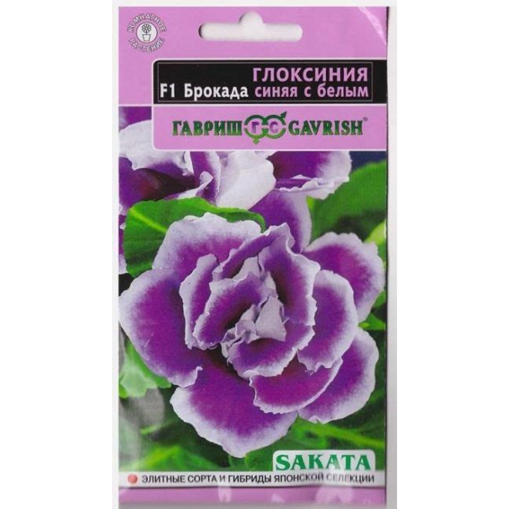 Семена Цветы Глоксиния Брокада синяя с белым F1 4шт Семена Цветы Глоксиния Брокада синяя с белым F1 4шт