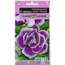 Семена Цветы Глоксиния Брокада синяя с белым F1 4шт