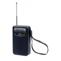 Портативная колонка RE-11 AM/FM/SW/USB/AUX/MicroSD Deespi S1205