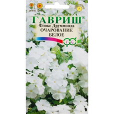 Семена Цветы Флокс Очарование белое Друммонда 0,05 гр.