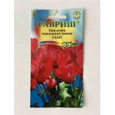 Семена Цветы Цикламен Габи персидский 3шт