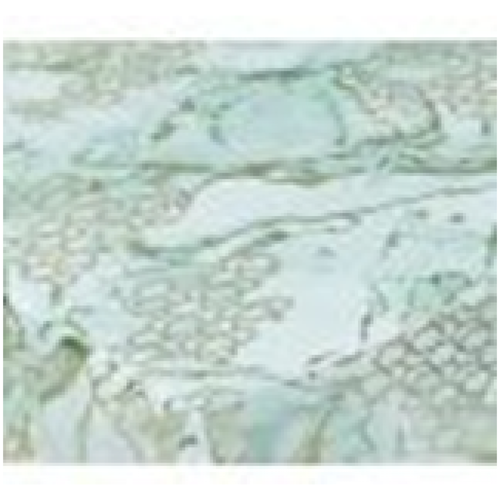 Клеёнка GRACE 1.37x20, NS-7972EB (117852) рез 0,5м; мин.ост. 1,5м Клеёнка GRACE 1.37x20, NS-7972EB (117852) рез 0,5м; мин.ост. 1,5м