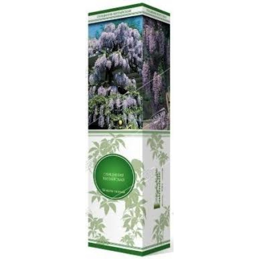 Глициния китайская (коробка)