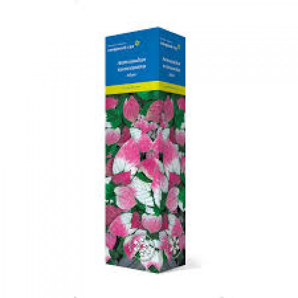 Актинидия коломикта Адам муж. (коробка)