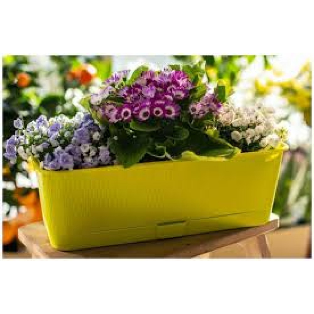 Ящик балконный Прованс 6,0л фисташка с поддоном