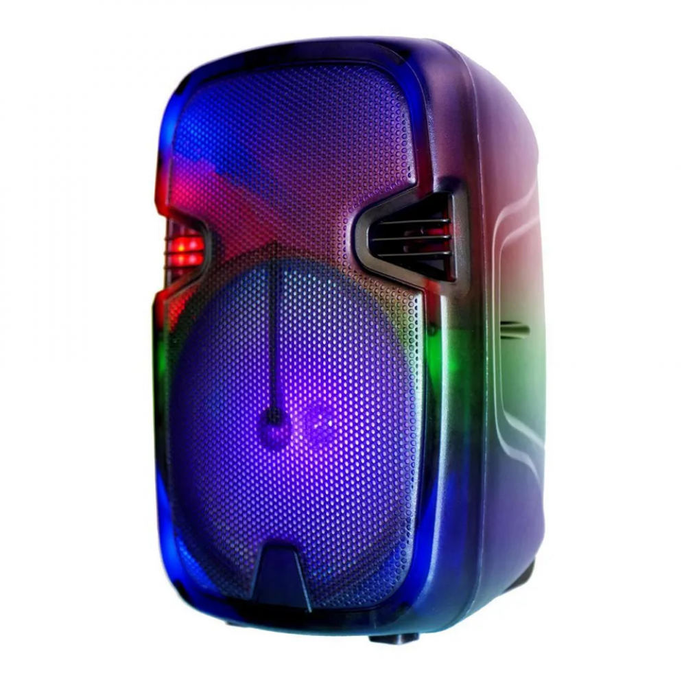 Портативная акустика QS-2821
