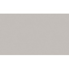 Обои виниловые на флиз.основе 1,06*10,05 Холст 70526-24