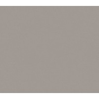 Обои виниловые на флиз.основе 1,06*10,05 Холст 70526-82