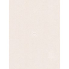 Обои бумажные 0,53*10,05 Дриада-фон 6279-2