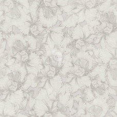 Обои бумажные 0,53*10,05 Ирисы 6211-5