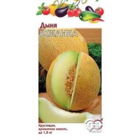 Семена Дыня Южанка 1г