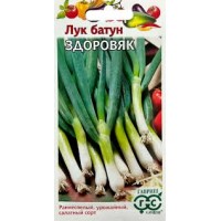 Семена Лук батун Здоровяк 0,5 г