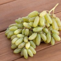 Виноград Дамский пальчик ОКС