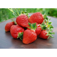 Клубника рассада в ассортименте