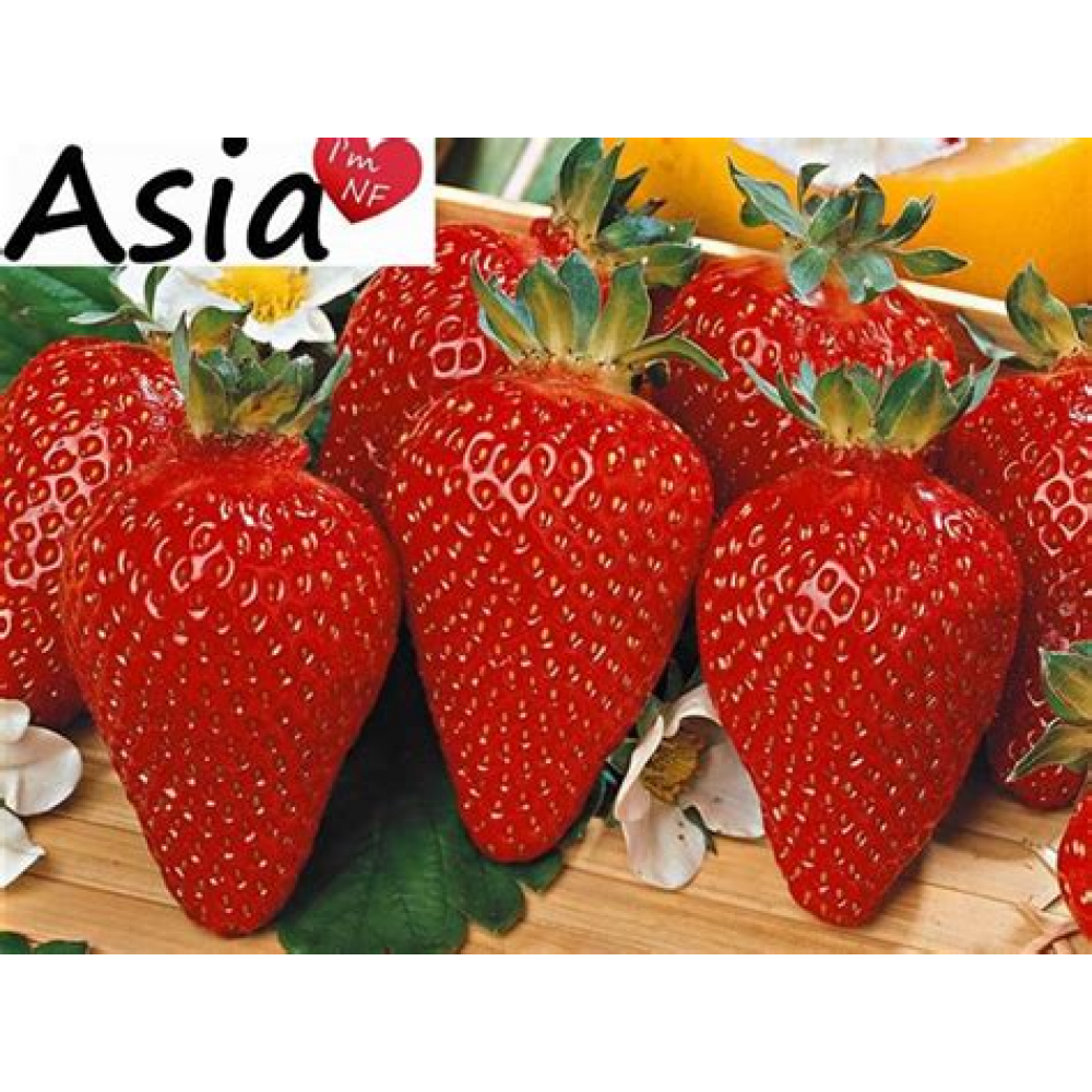 Клубника Азия Клубника Азия