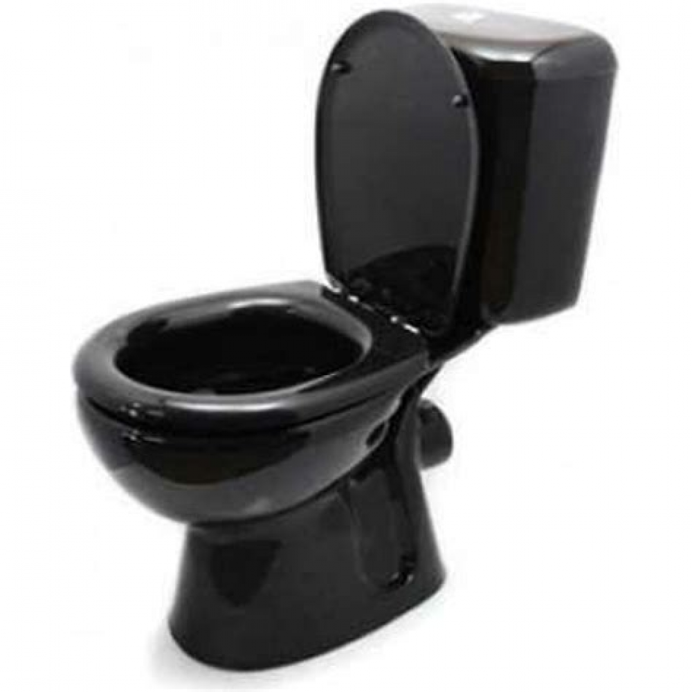 Унитаз-компакт PARVA безободковый 455893