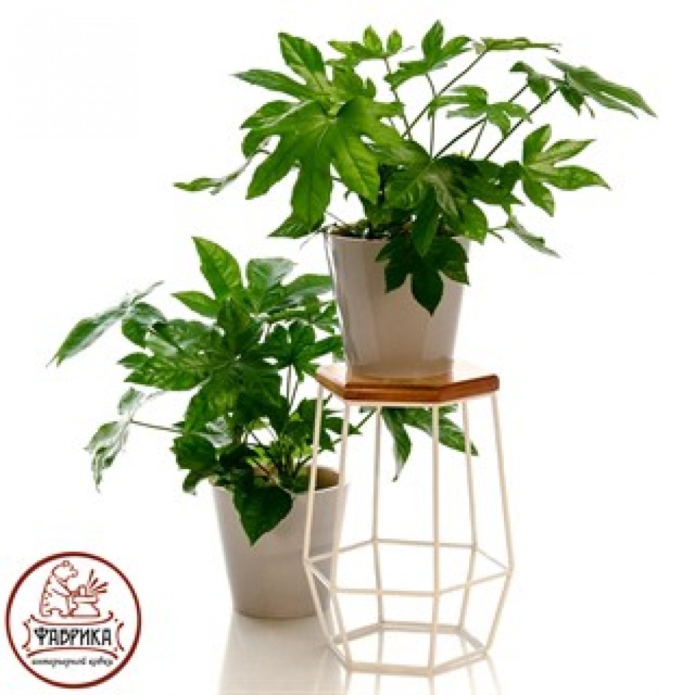 Стойка под цветы с деревом 66-411