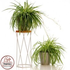 Стойка под цветы с деревом 66-413