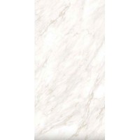 Панель ПВХ 2,7 х 0,25 х 0,08 883 