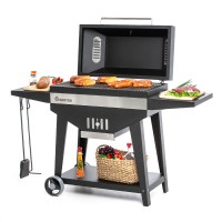 Мангал-гриль стационарный Family Optima BBQ FOB 2000 133*44*111 862-220