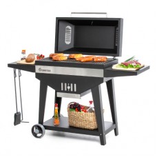 Мангал-гриль стационарный Family Optima BBQ FOB 2000 133*44*111 862-220